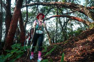 BIB: 
                            <button type="button" onclick="openModal(26344283)" class="btn btn-primary btn-sm float-right btn-popup" data-toggle="modal" data-target=".modal-high-quality">
                        <i class="fas fa-shopping-cart"></i> Add to Cart
                    </button>
                                            <button type="button" onclick="isThisMe(26344283, true)" class="btn btn-success btn-sm float-right btn-popup btn-isme hidden" data-toggle="tooltip" data-placement="bottom" title="นี่คือรูปของคุณใช่ไหม คลิกที่นี่เพื่อเอาเข้าอัลบั้ม">
                        <i class="fas fa-plus"></i> Add to album
                    </button>
                    <button type="button" onclick="isThisMe(26344283, false)" class="btn btn-warning btn-sm float-right btn-popup btn-isnotme hidden">
                        <i class="fas fa-ban"></i> Remove from album
                    </button>